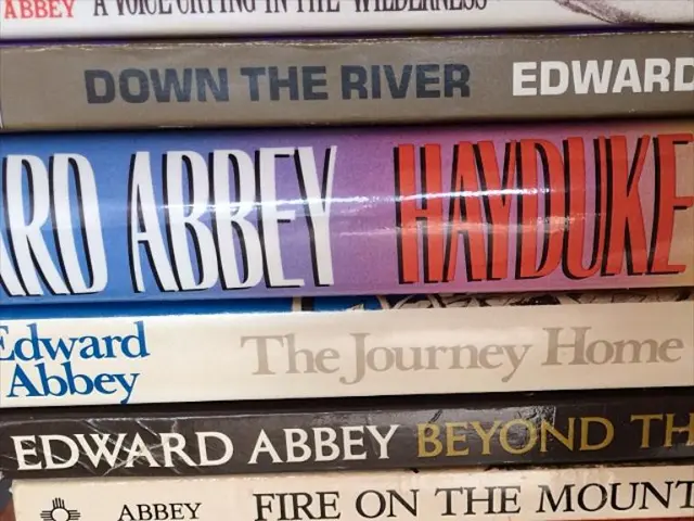 Betsson Georgia forms a partnership with Spinomenal