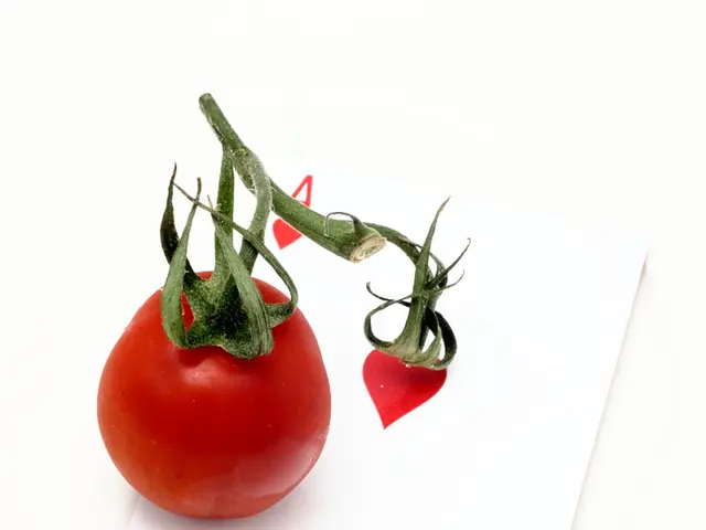 Sizzling Updates from Hollywoodbets