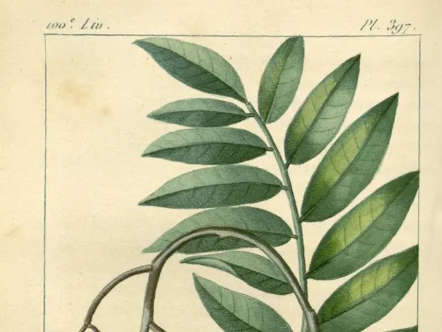 July 2025's Most Sought-After Slot Machine Award Recipient Announced