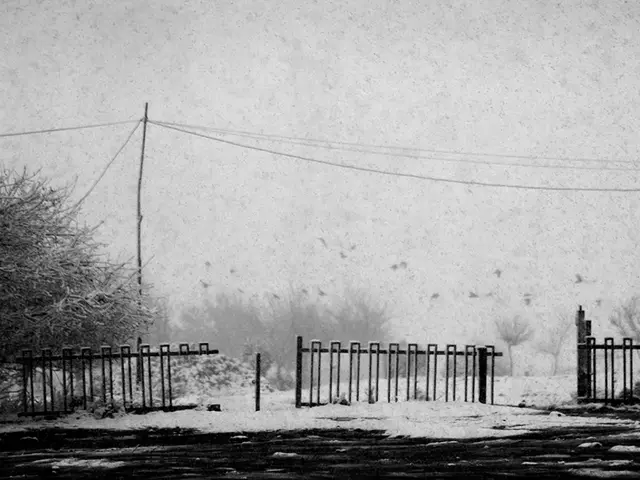 Expectant rainfall and temperatures climbing up to 13 degrees in Magadan this Friday